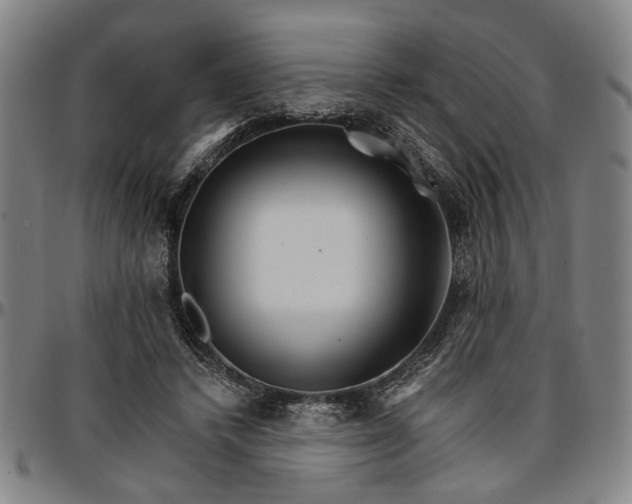 X0000096660448200802191310