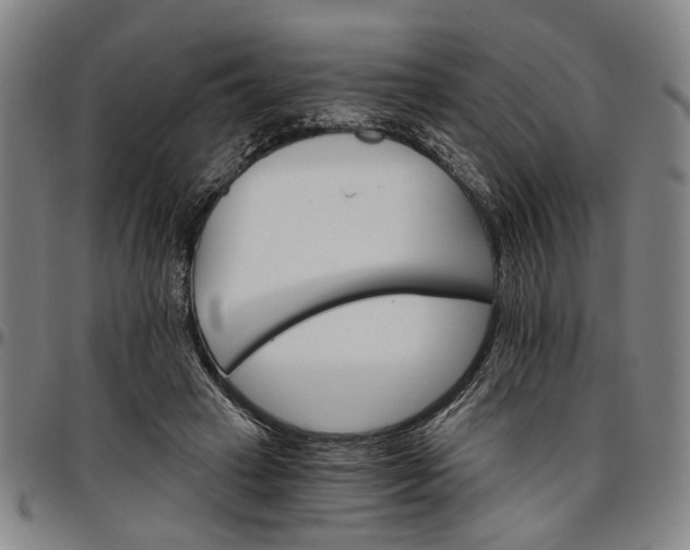 X0000096660449200802191310