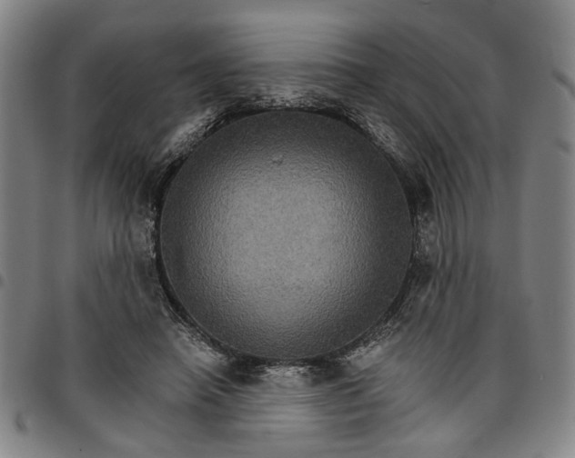 X0000096660450200802191310