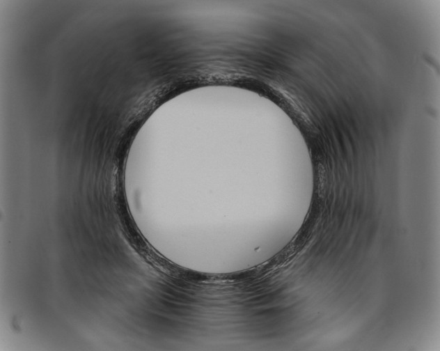 X0000096660451200802191310