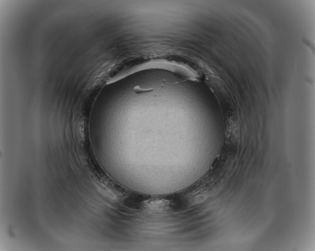 X0000096660452200802191310