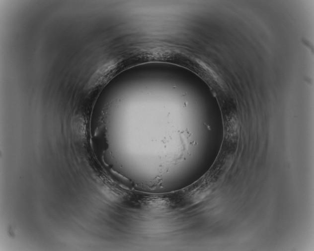 X0000096660456200802191310