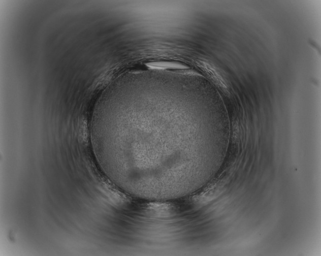 X0000096660457200802191310