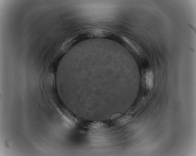 X0000096660459200802191311