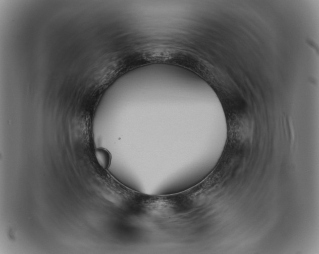 X0000096660460200802191311