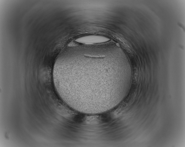 X0000096660461200802191311