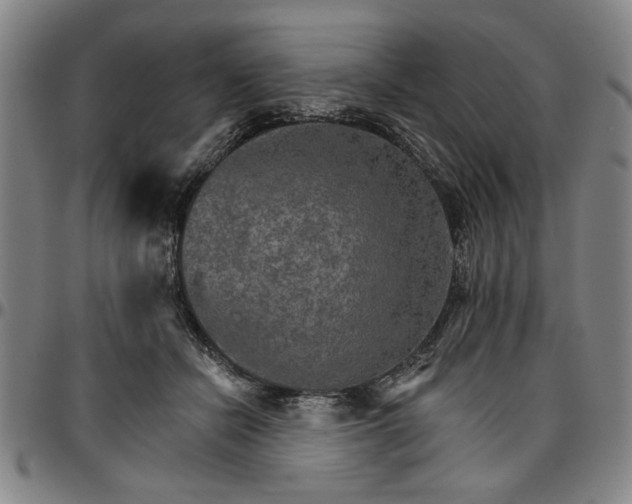 X0000096660462200802191311