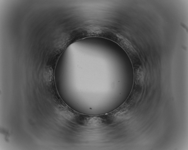 X0000096660463200802191311