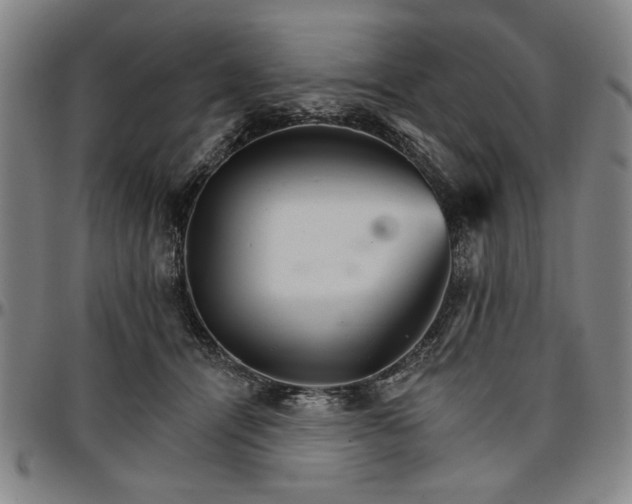 X0000096660464200802191311