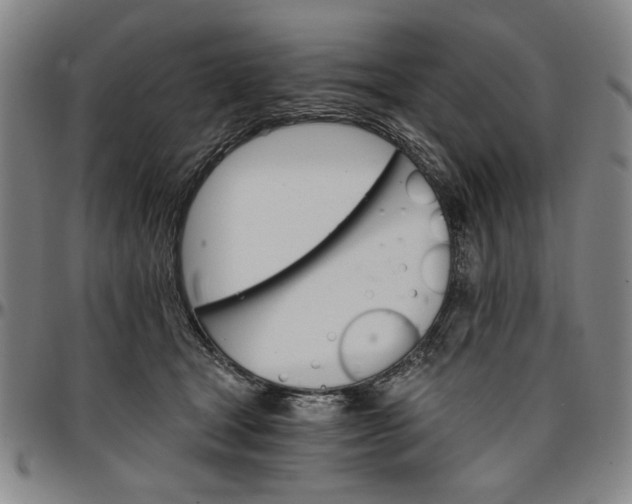 X0000096660465200802191311