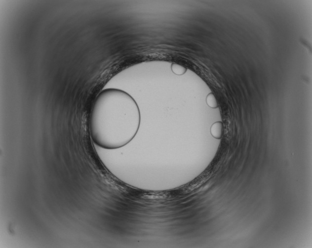 X0000096660466200802191311