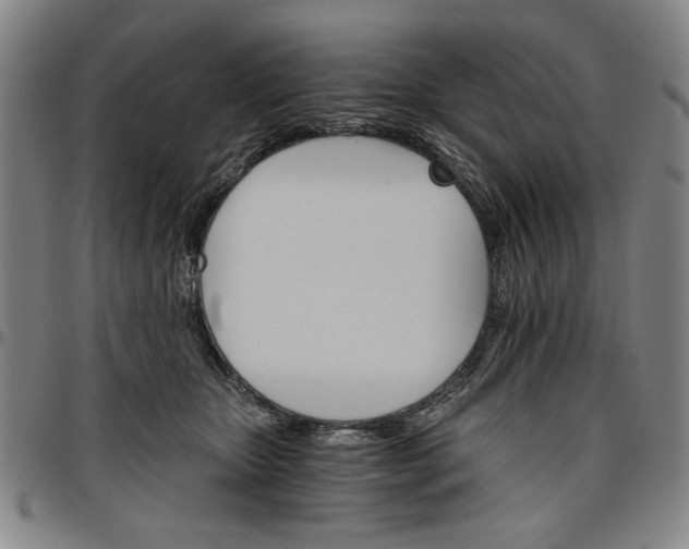 X0000096660467200802191311