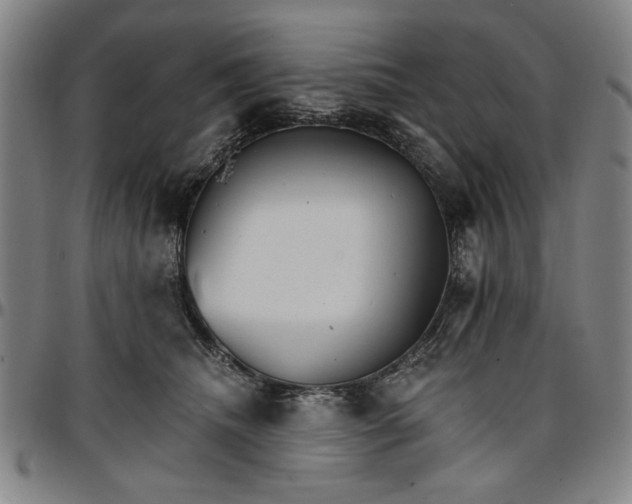 X0000096660468200802191311