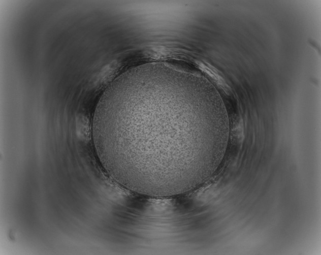 X0000096660469200802191311