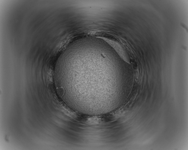 X0000096660470200802191311