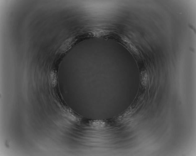 X0000096660471200802191311