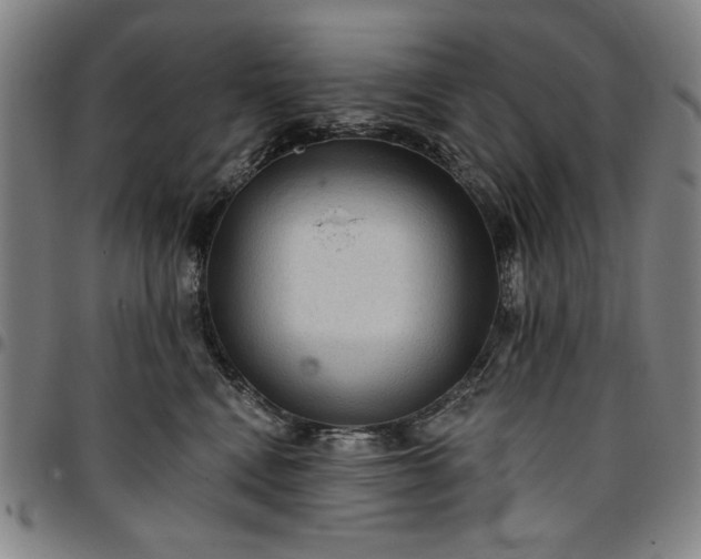 X0000096660472200802191311