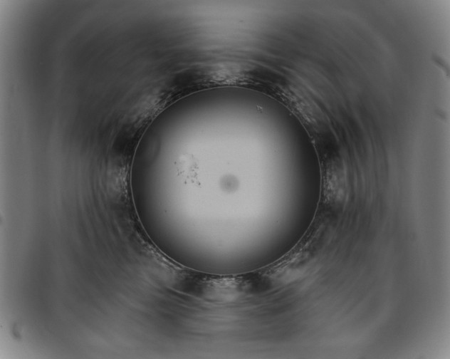 X0000096660473200802191311