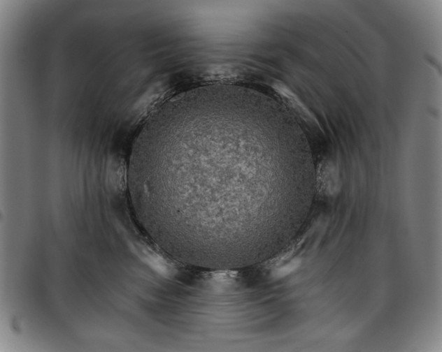 X0000096660474200802191311