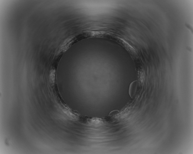 X0000096660475200802191311