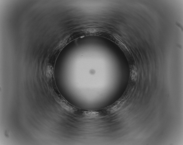 X0000096660476200802191311