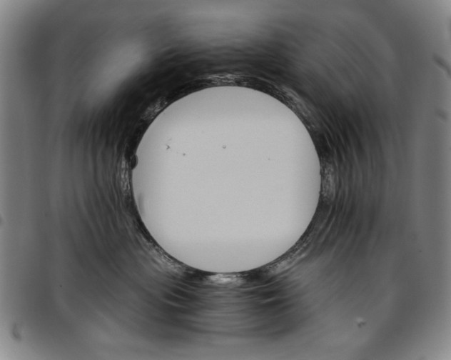 X0000096660477200802191311