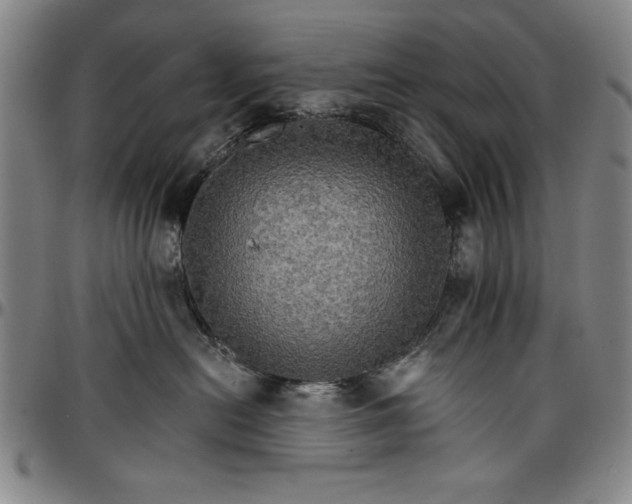 X0000096660478200802191311