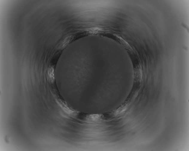 X0000096660479200802191311