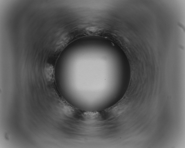 X0000096660480200802191311