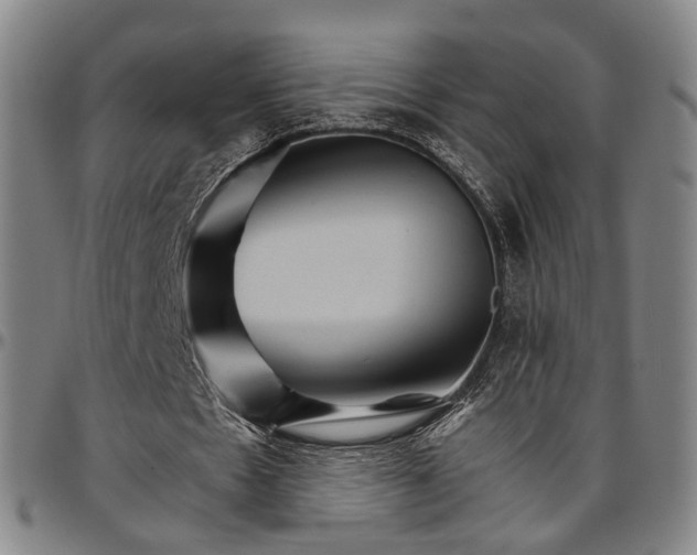 X0000096660481200802191310