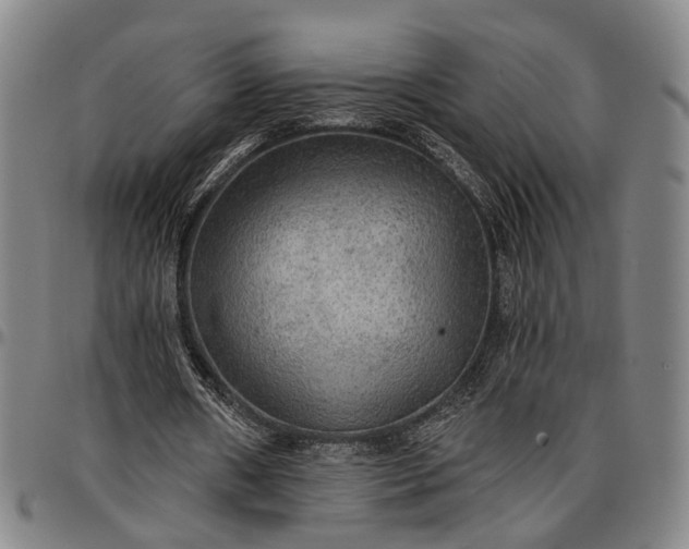 X0000096660482200802191310