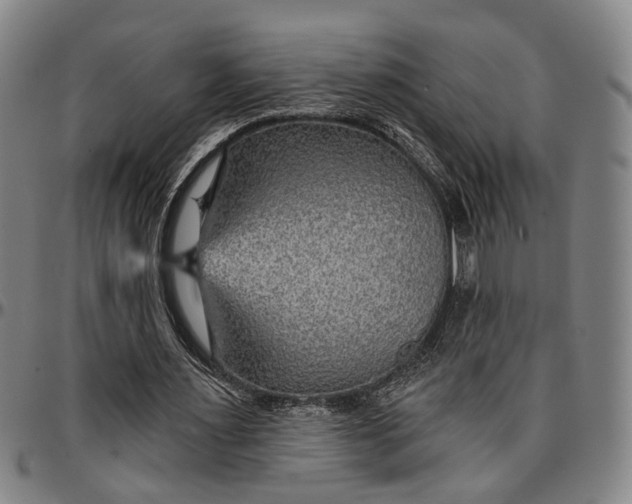 X0000096660483200802191310