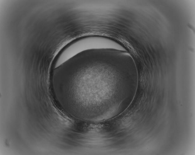 X0000096660484200802191310