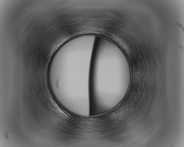 X0000096660485200802191310