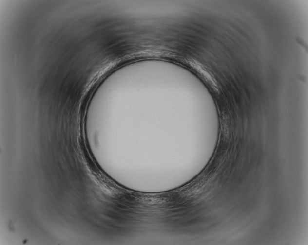 X0000096660486200802191310