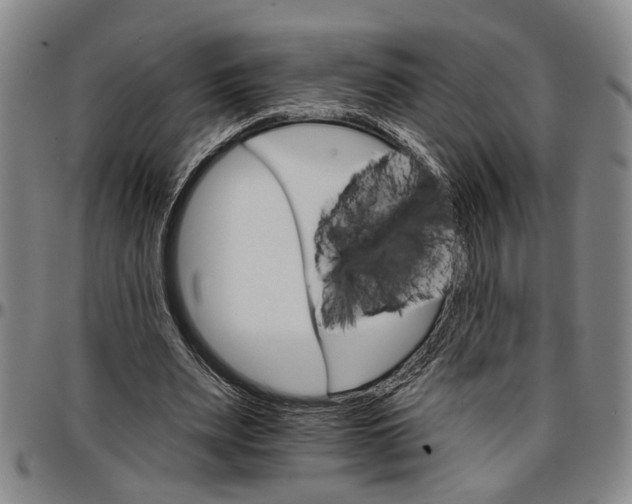 X0000096660487200802191310