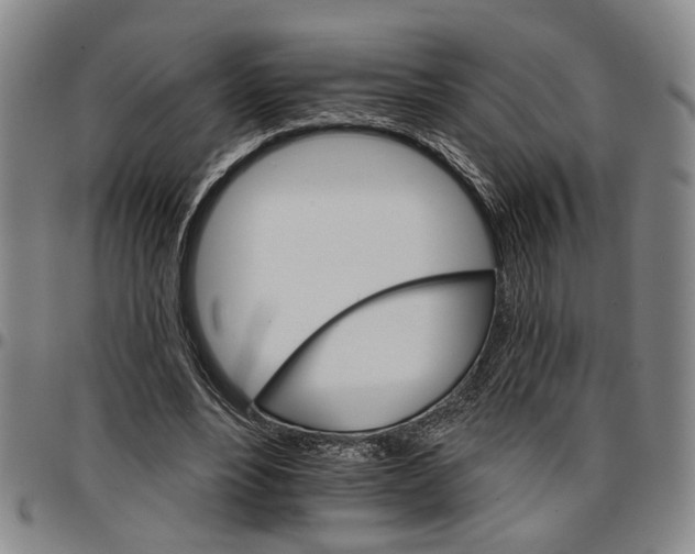 X0000096660488200802191310