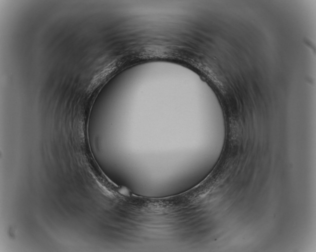 X0000096660489200802191310