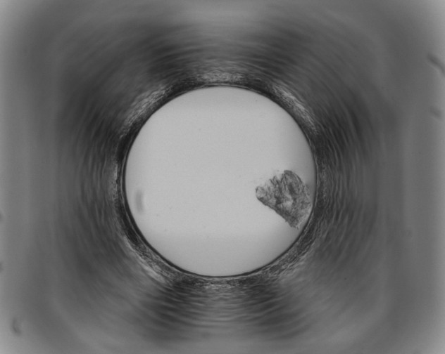 X0000096660490200802191310