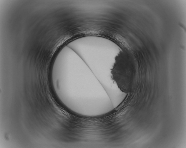 X0000096660491200802191310