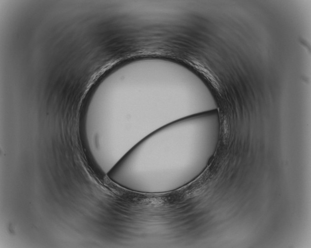 X0000096660492200802191310