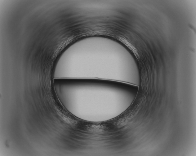 X0000096660493200802191310