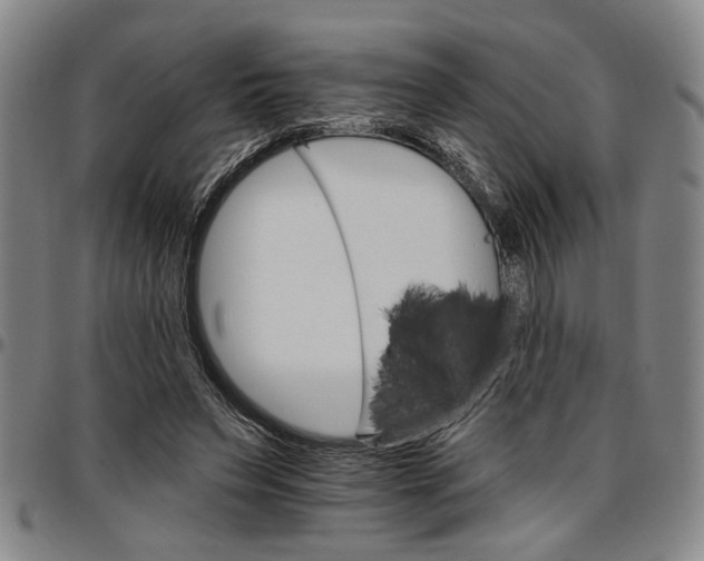 X0000096660495200802191310