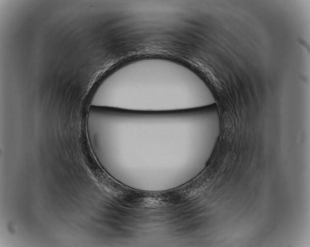 X0000096660496200802191310