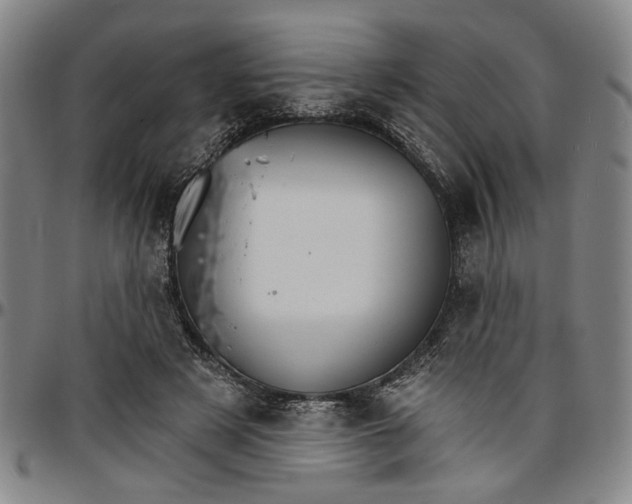 X0000096660497200802191310