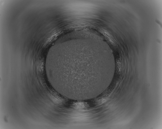 X0000096660499200802191310