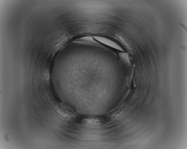 X0000096660500200802191310