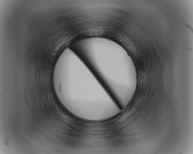 X0000096660501200802191310