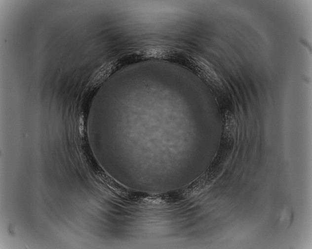 X0000096660502200802191310