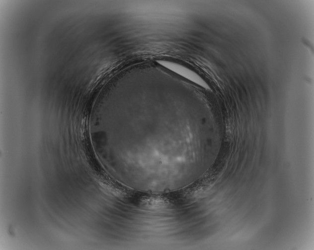 X0000096660503200802191310